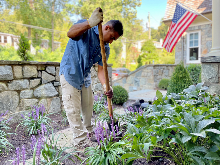 Landscape Maintenance in Northern Virginia - Independence Landscape