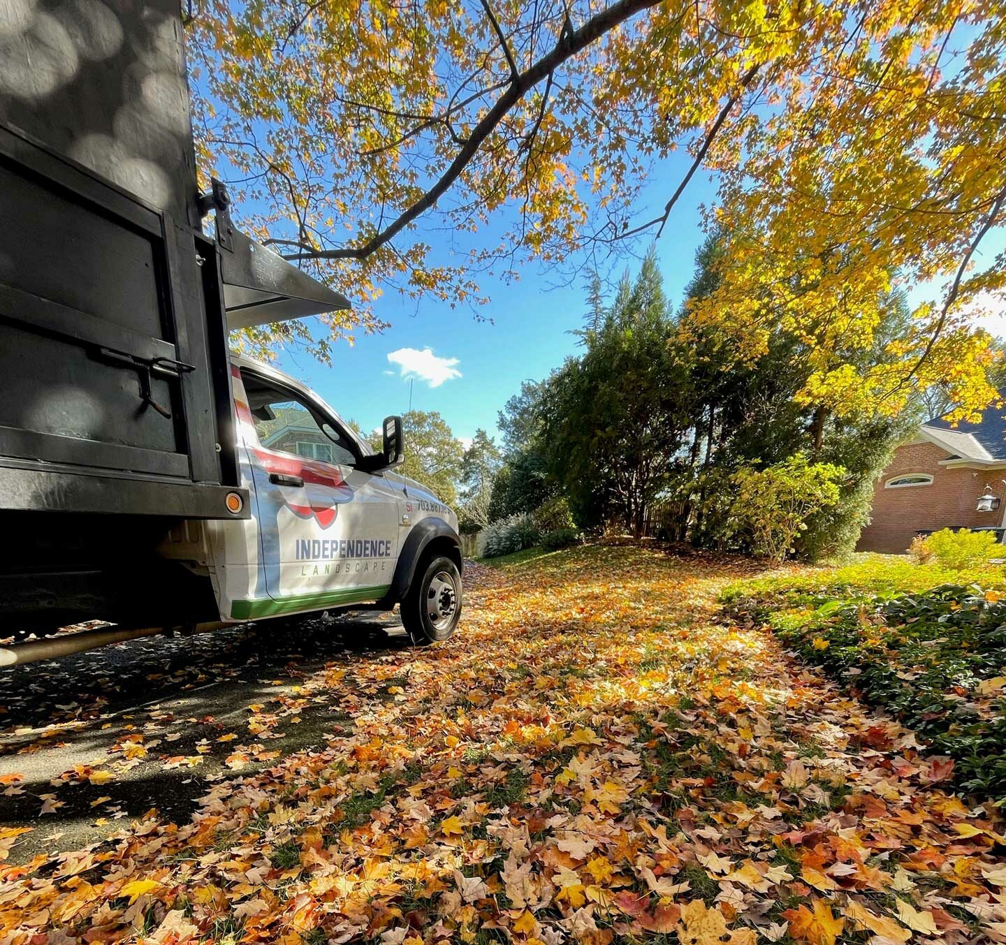 Leaf Removal 3 1 e1661875473223