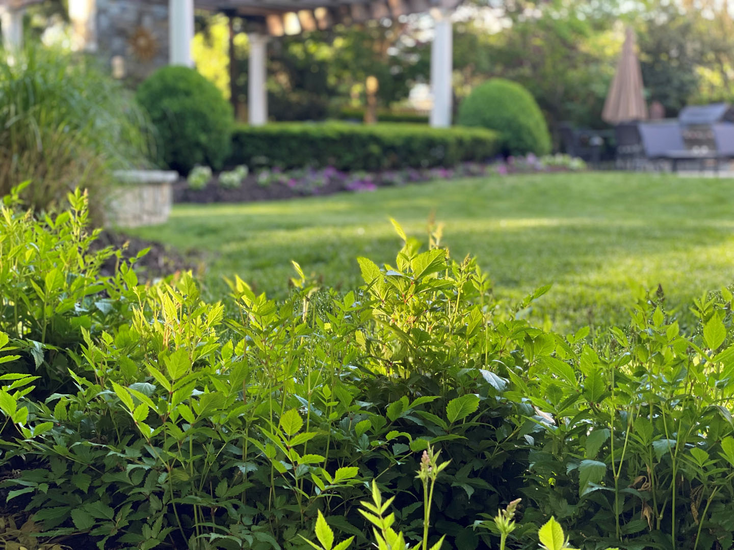 Independence Landscape fresh cut lawn