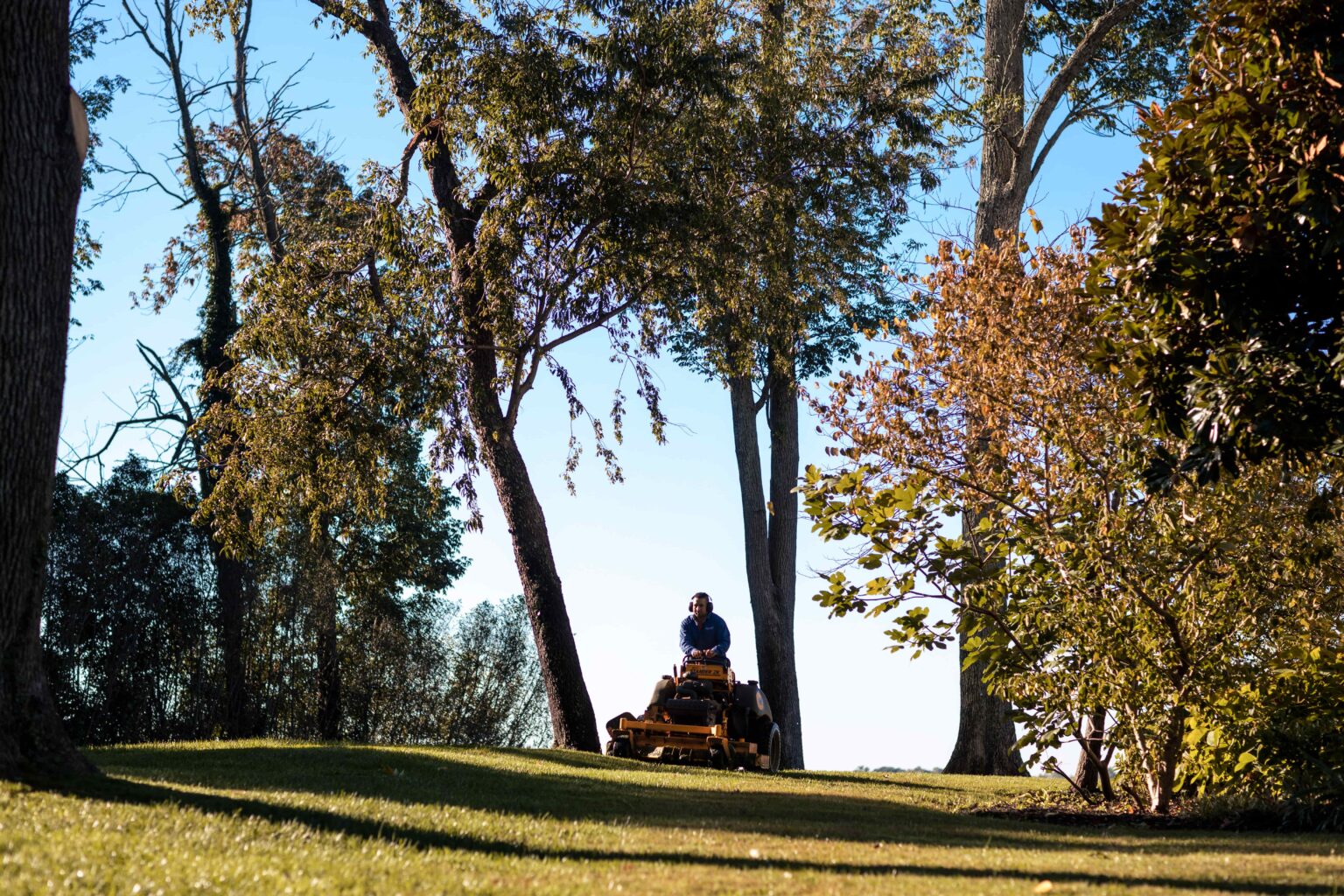 Professional Mowing and Edging Services in Northern Virginia