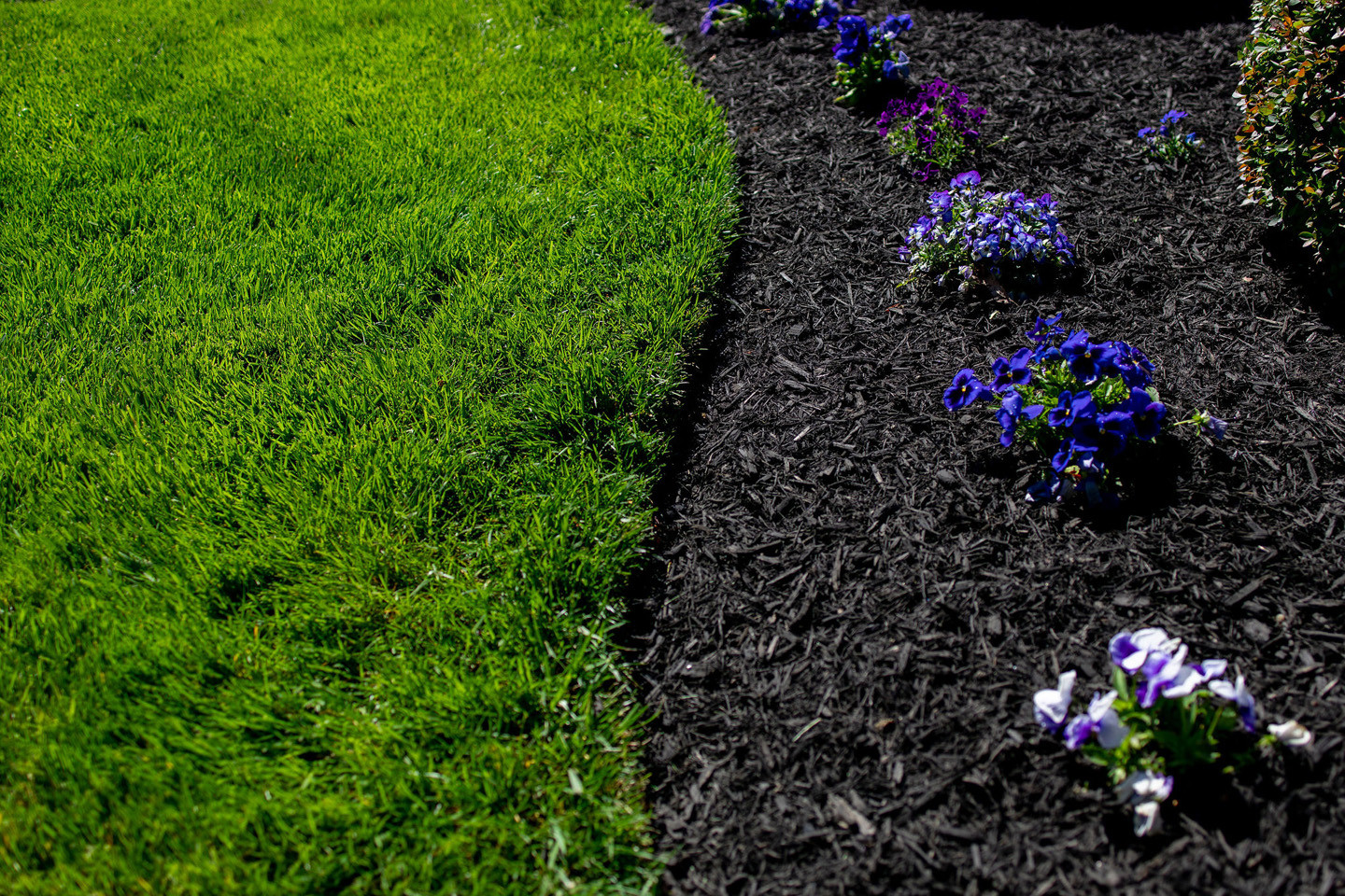 Mulch Dye – Renews Faded, Lifeless Mulch – LawnStar