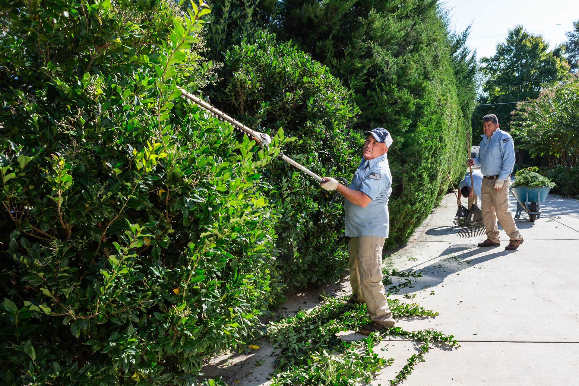 Independence team trimming bushes to highlight services offered.
