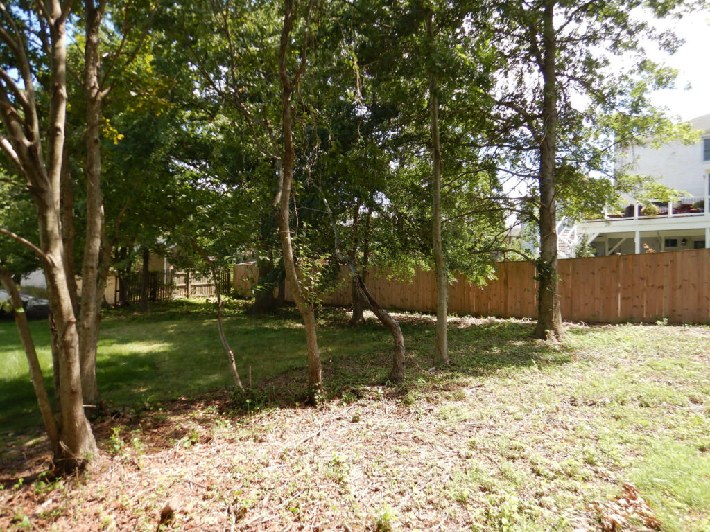 Site prep work with trees