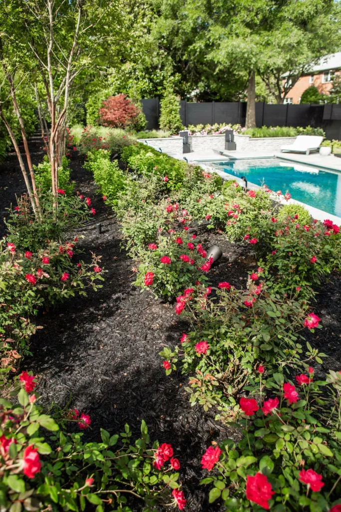 Beautiful Flowers beside pool, landscape bed maintenance